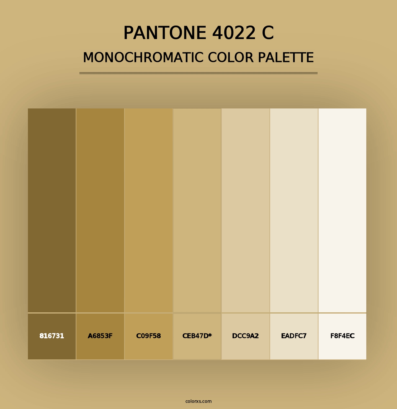 PANTONE 4022 C - Monochromatic Color Palette