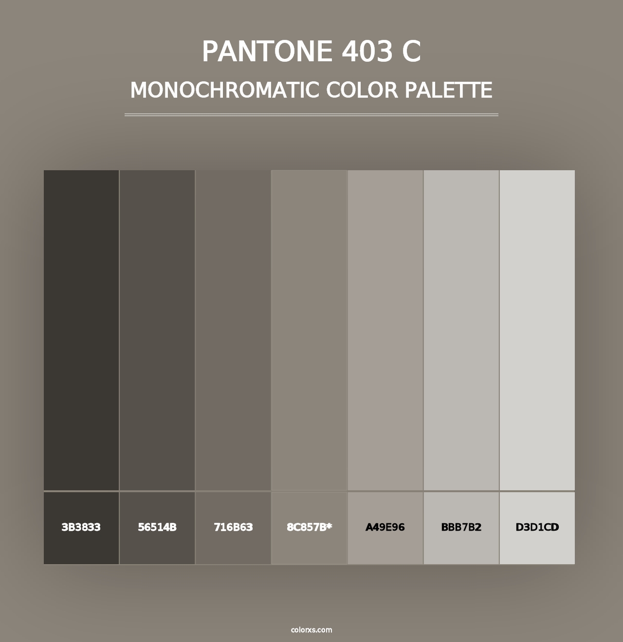 PANTONE 403 C - Monochromatic Color Palette