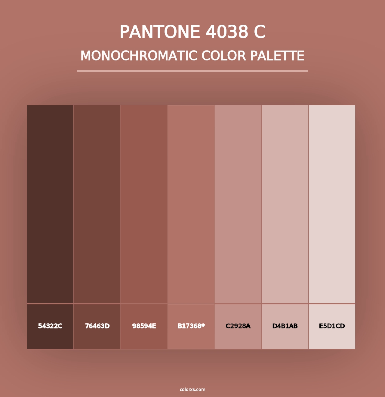 PANTONE 4038 C - Monochromatic Color Palette