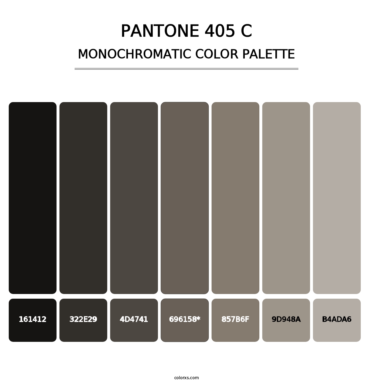 PANTONE 405 C - Monochromatic Color Palette