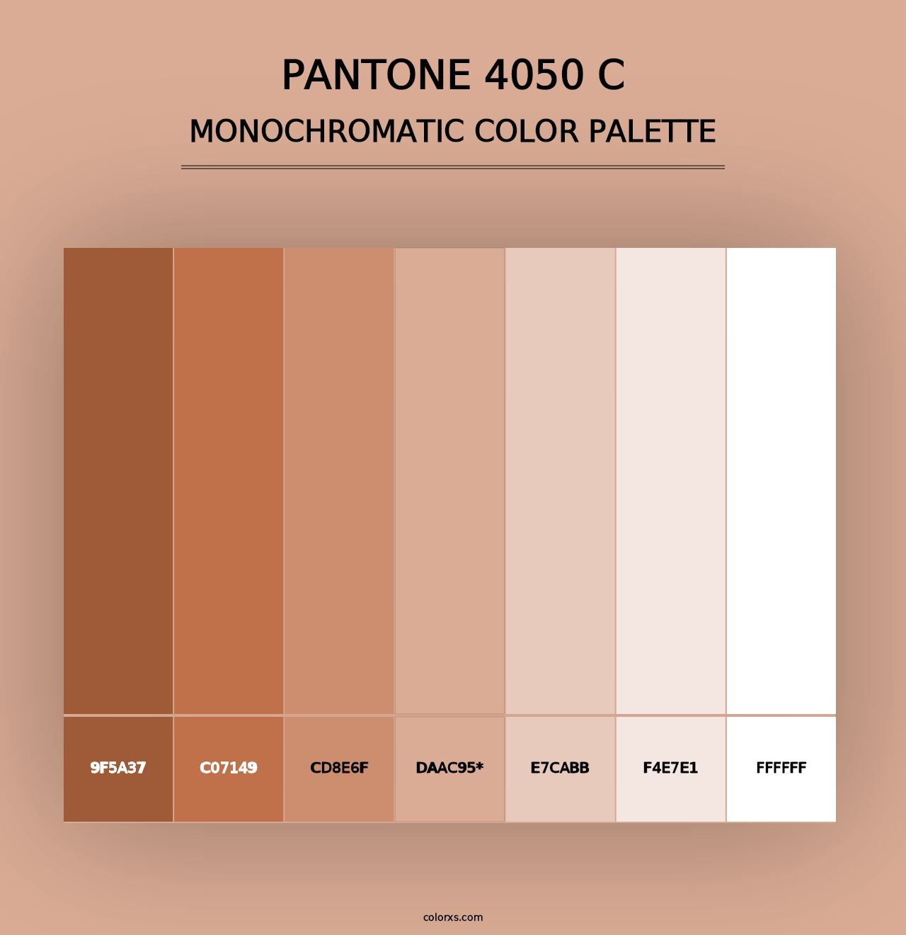 PANTONE 4050 C - Monochromatic Color Palette