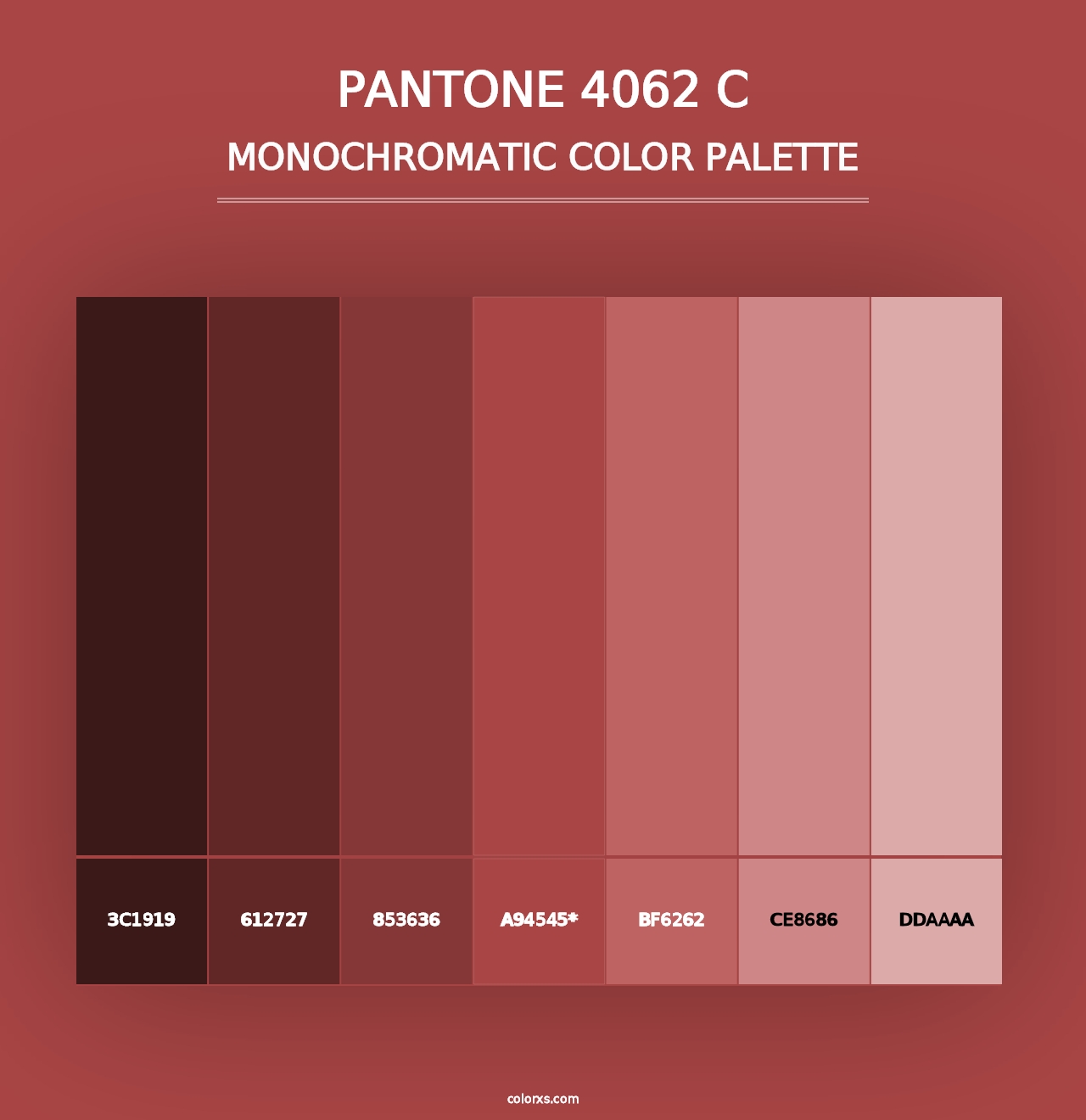 PANTONE 4062 C - Monochromatic Color Palette