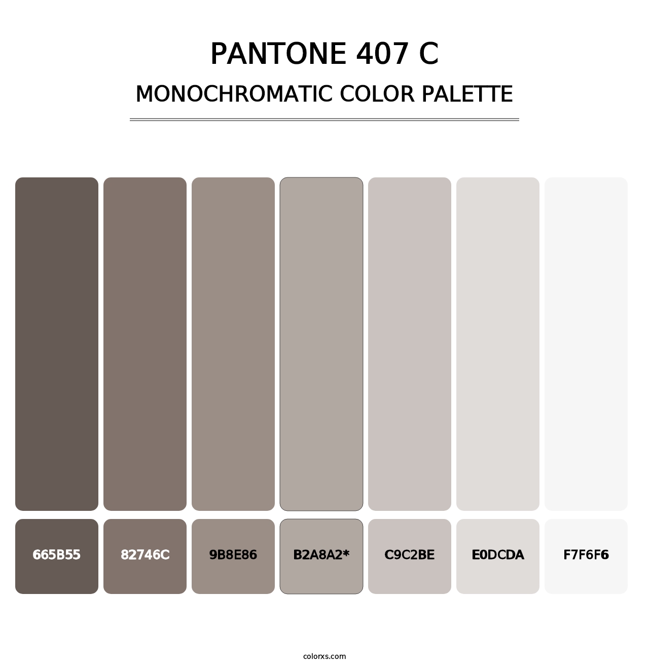 PANTONE 407 C - Monochromatic Color Palette