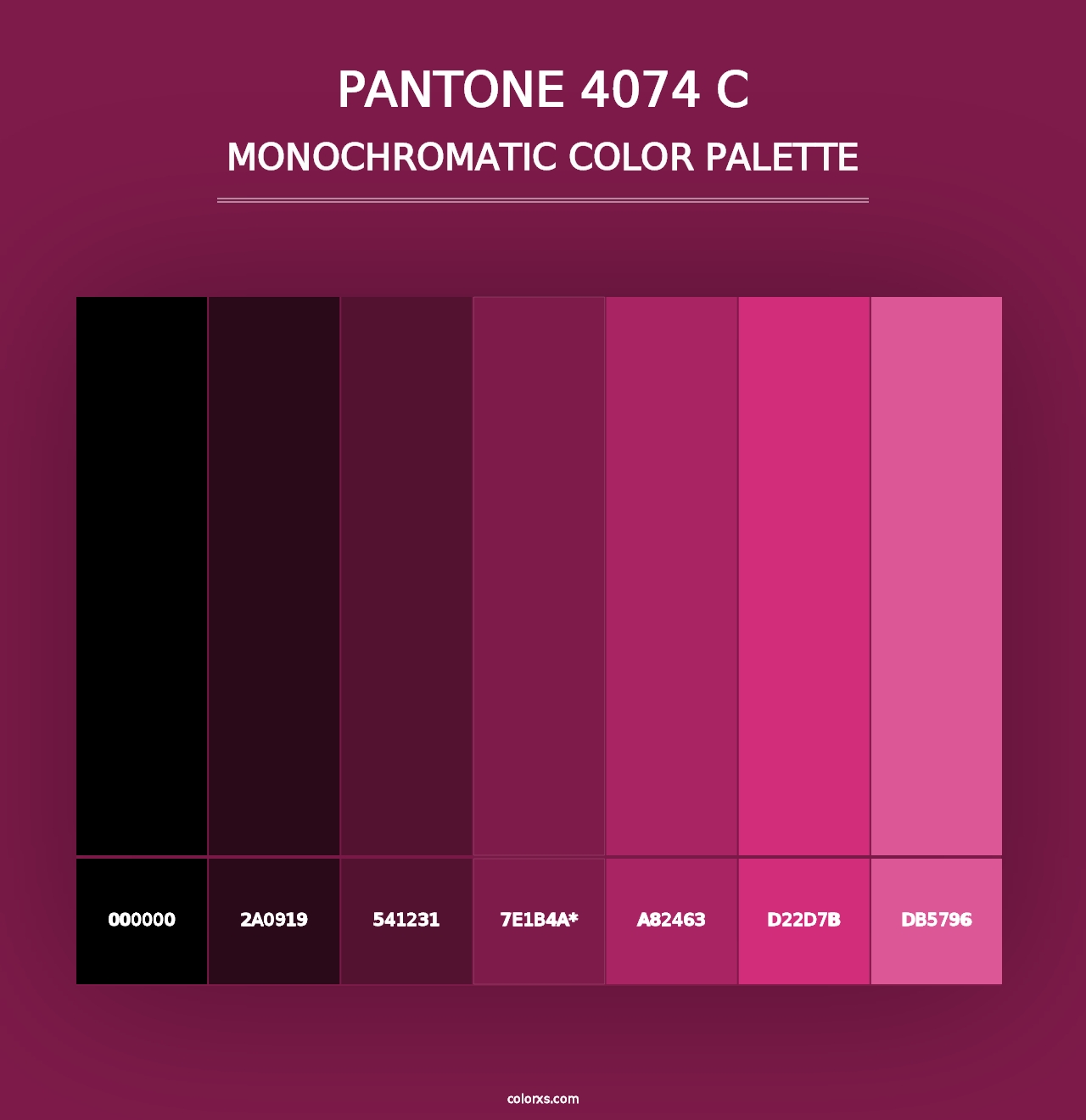 PANTONE 4074 C - Monochromatic Color Palette