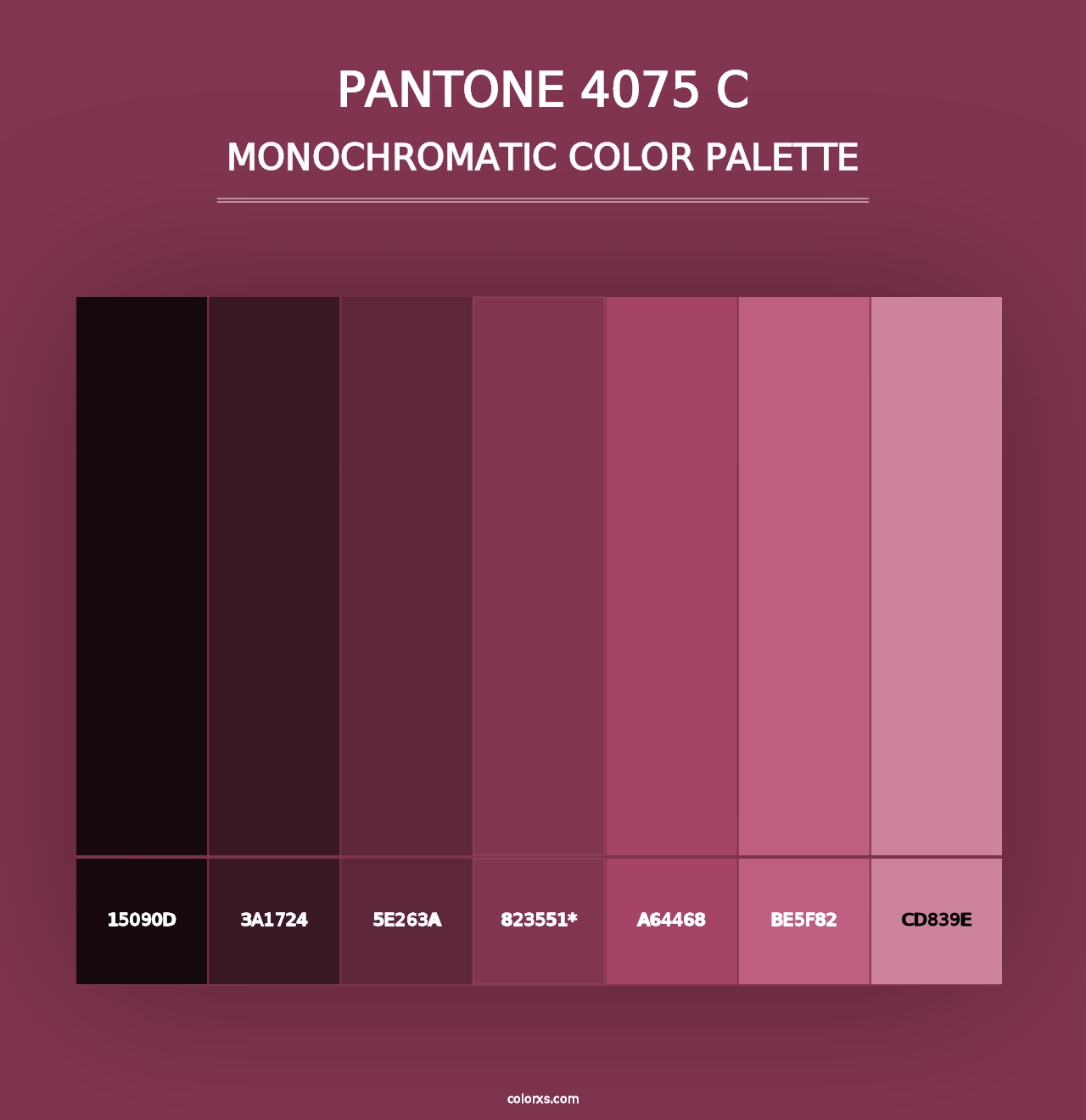 PANTONE 4075 C - Monochromatic Color Palette