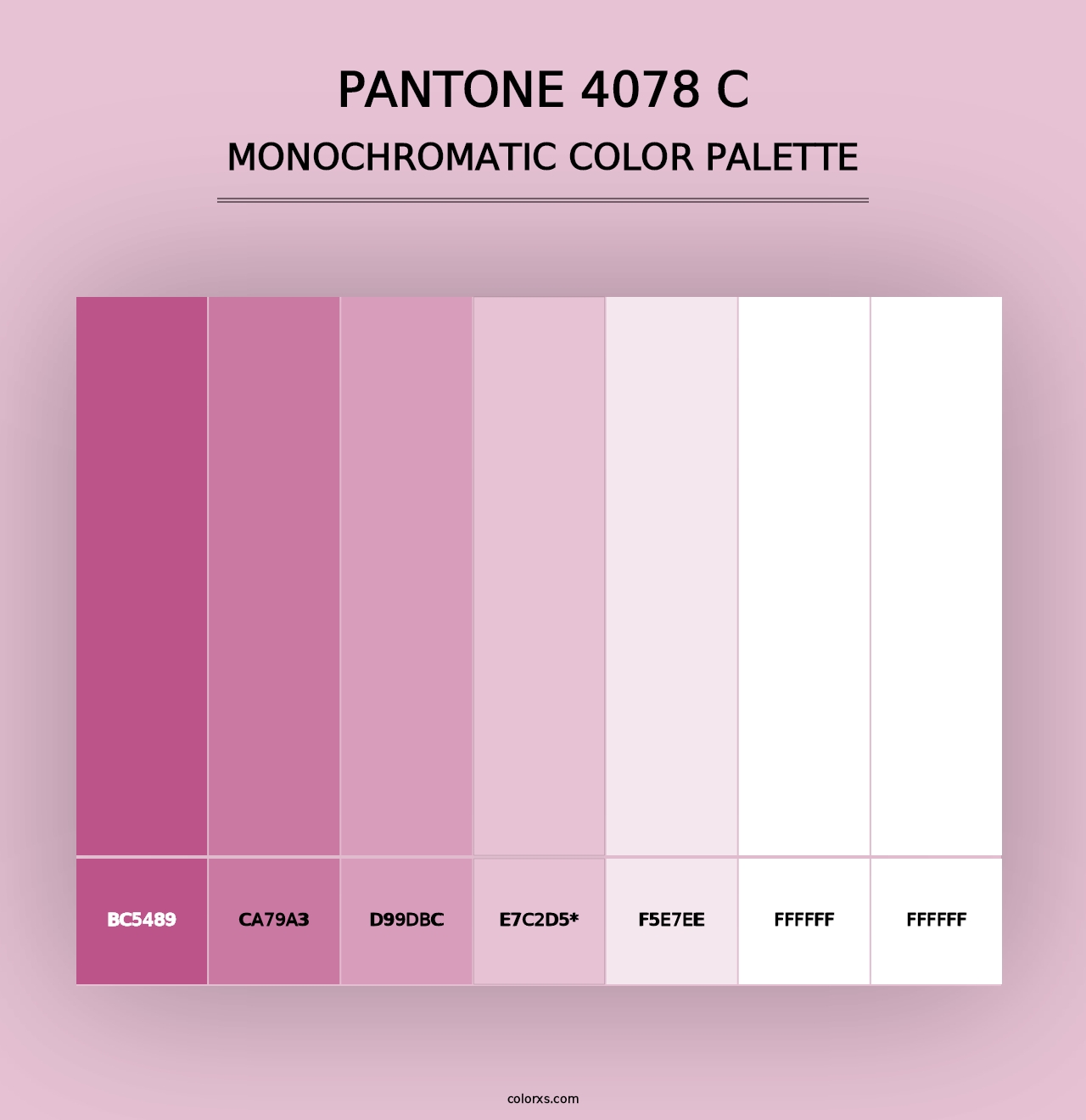 PANTONE 4078 C - Monochromatic Color Palette