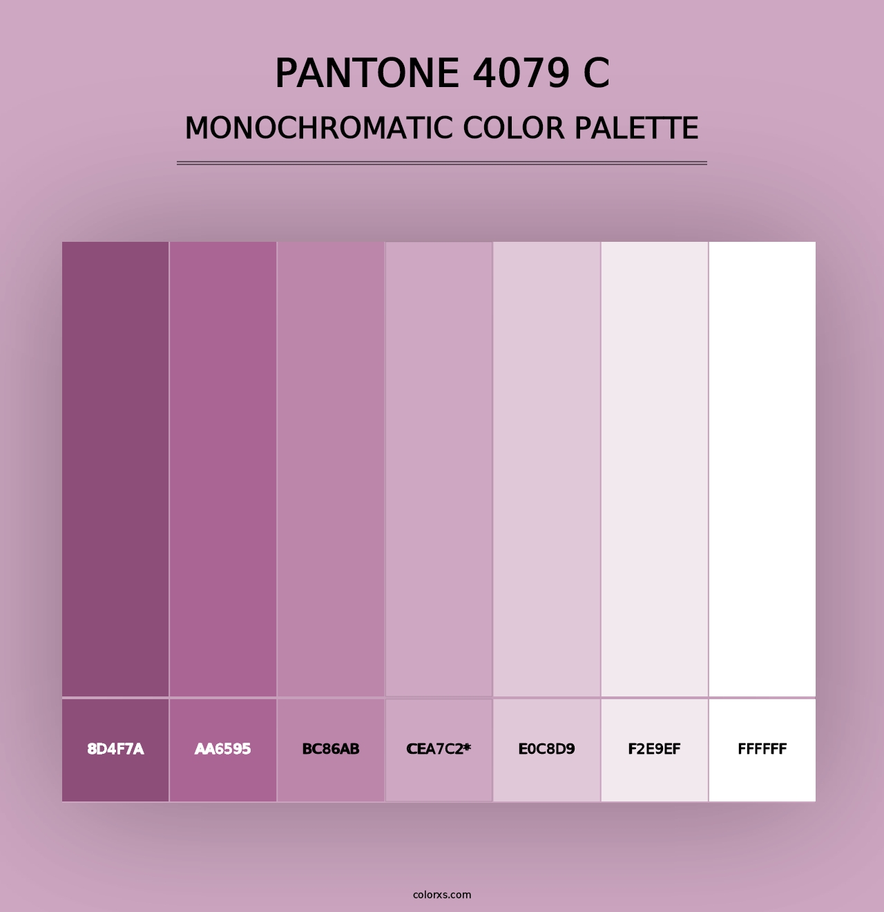 PANTONE 4079 C - Monochromatic Color Palette