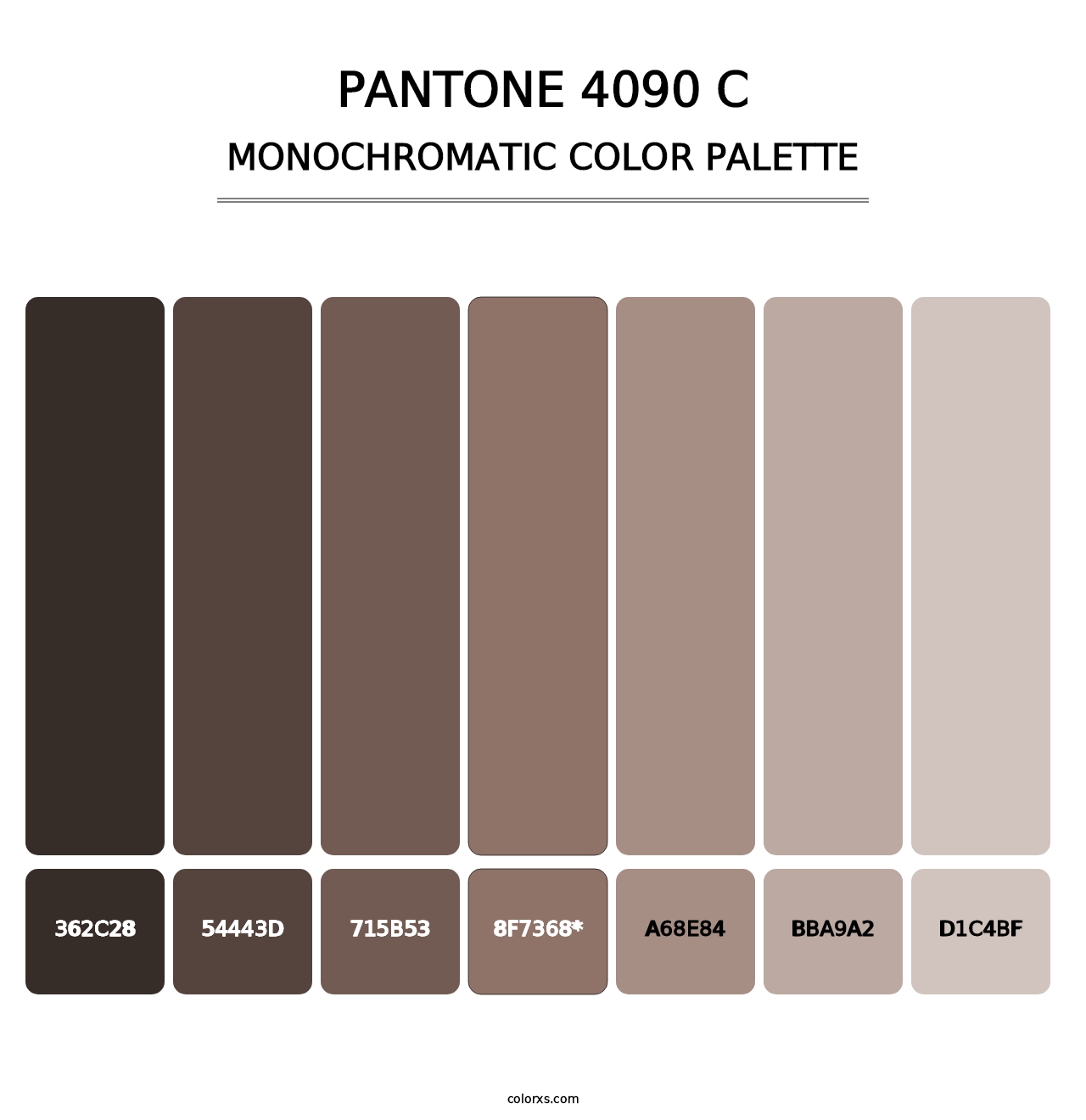 PANTONE 4090 C - Monochromatic Color Palette