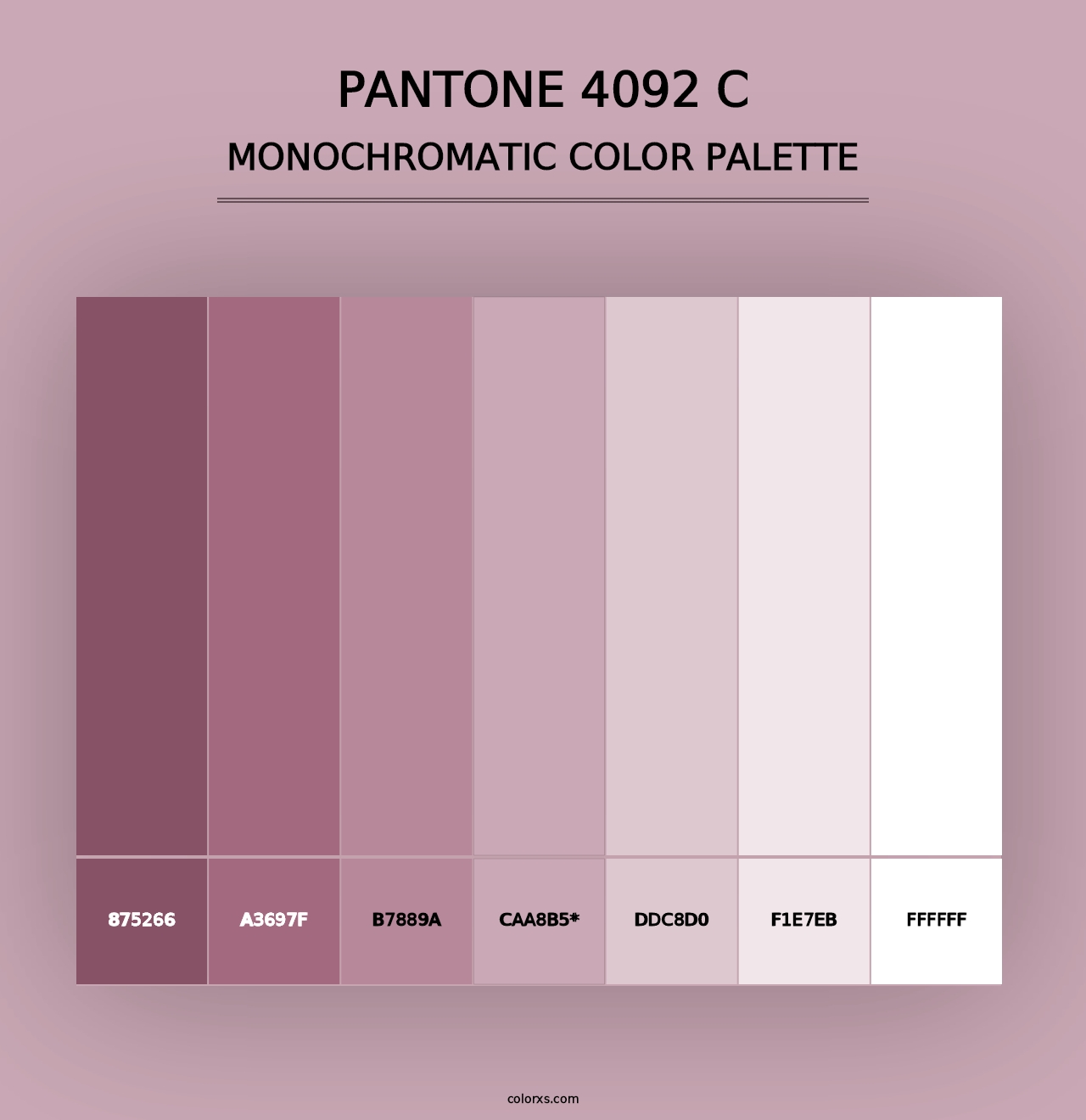 PANTONE 4092 C - Monochromatic Color Palette