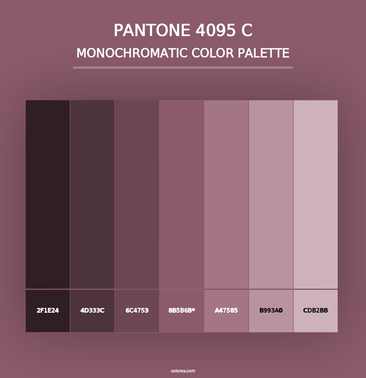 PANTONE 4095 C - Monochromatic Color Palette