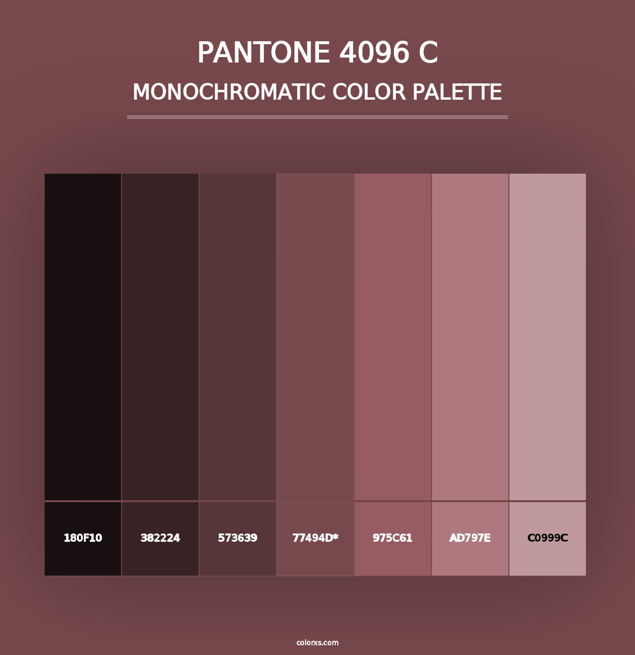 PANTONE 4096 C - Monochromatic Color Palette