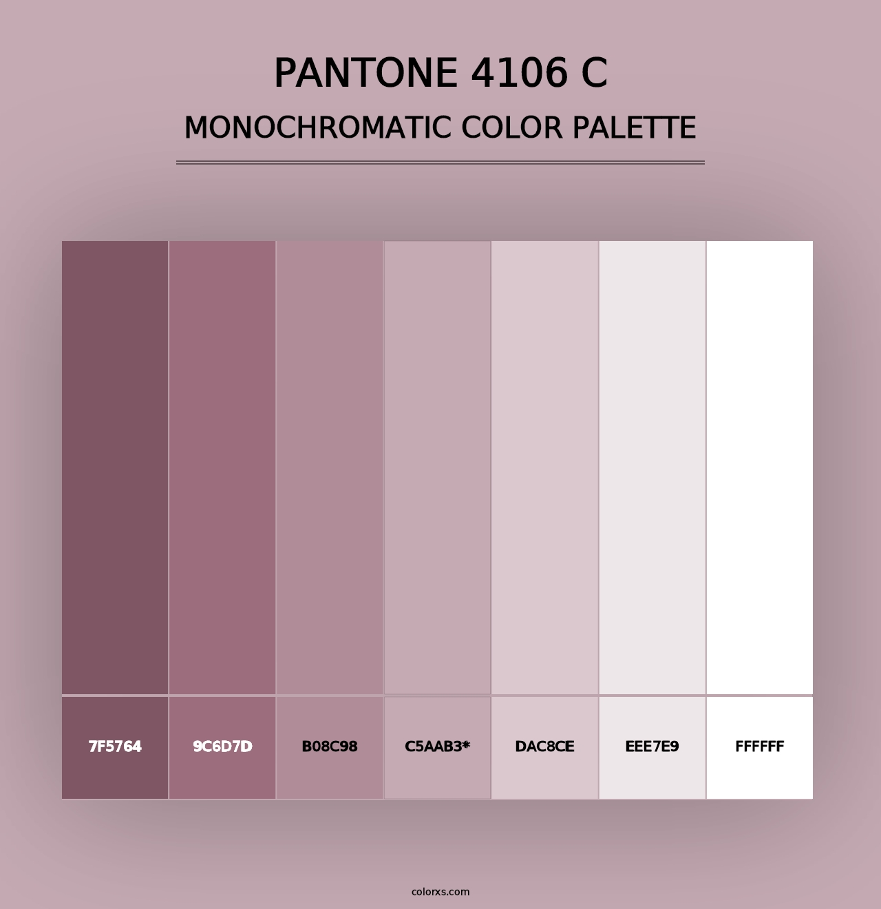 PANTONE 4106 C - Monochromatic Color Palette