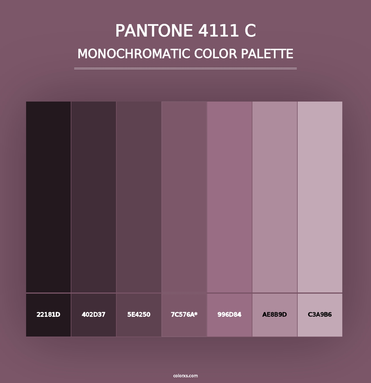 PANTONE 4111 C - Monochromatic Color Palette