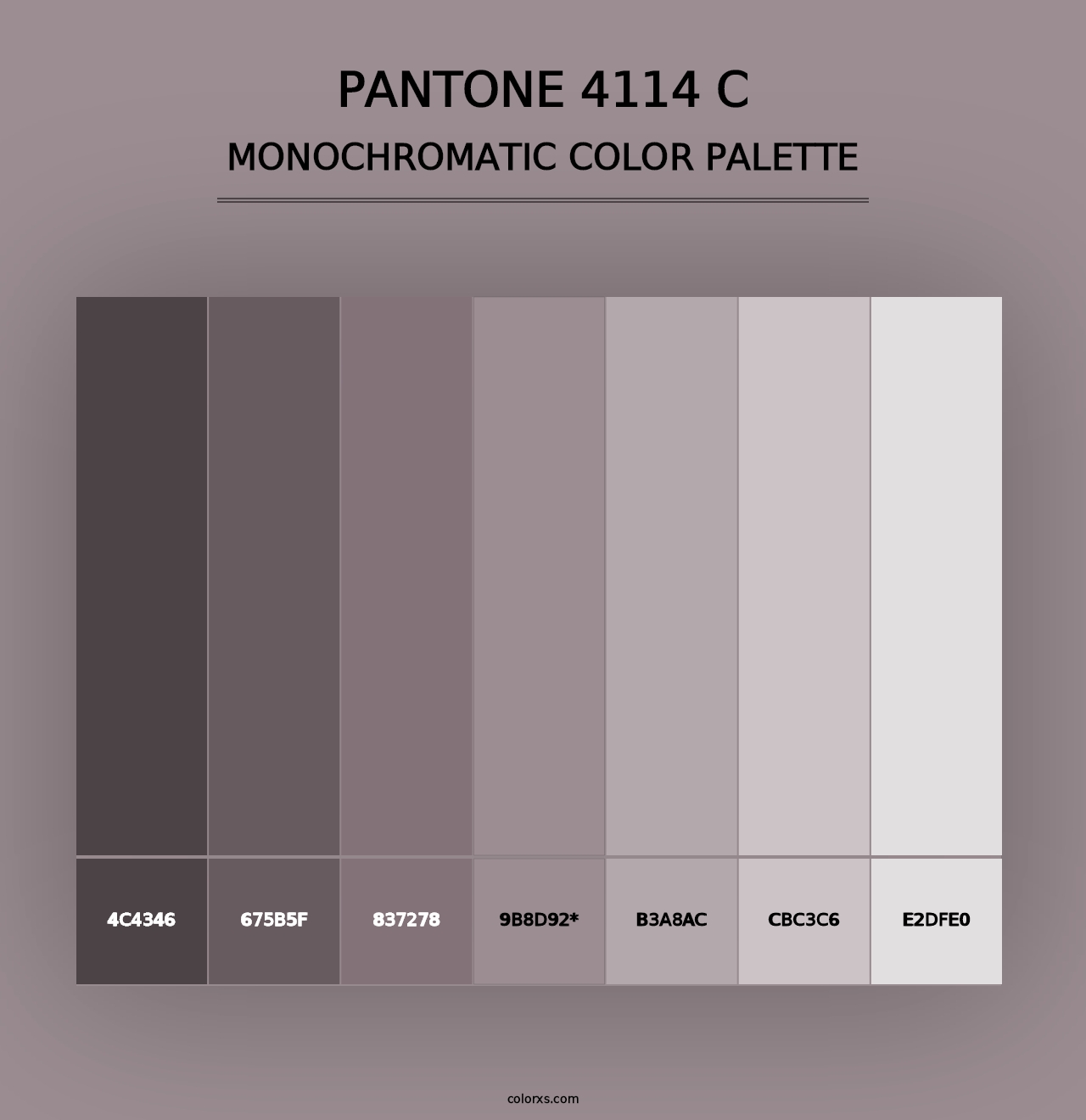 PANTONE 4114 C - Monochromatic Color Palette