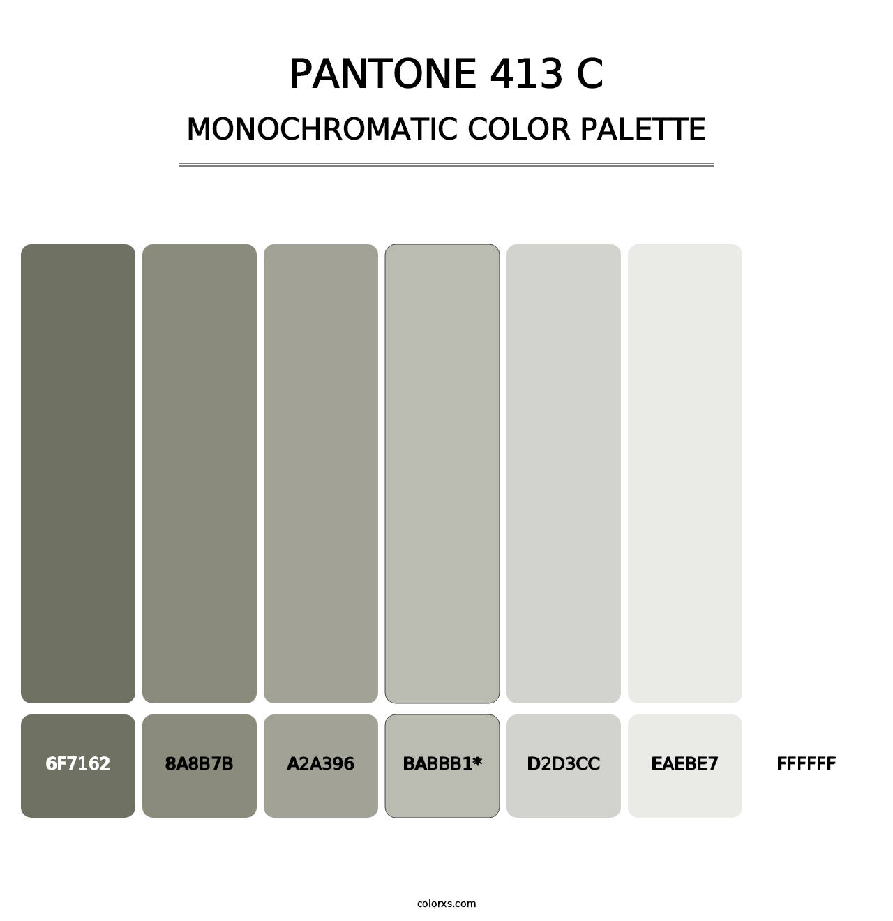 PANTONE 413 C - Monochromatic Color Palette