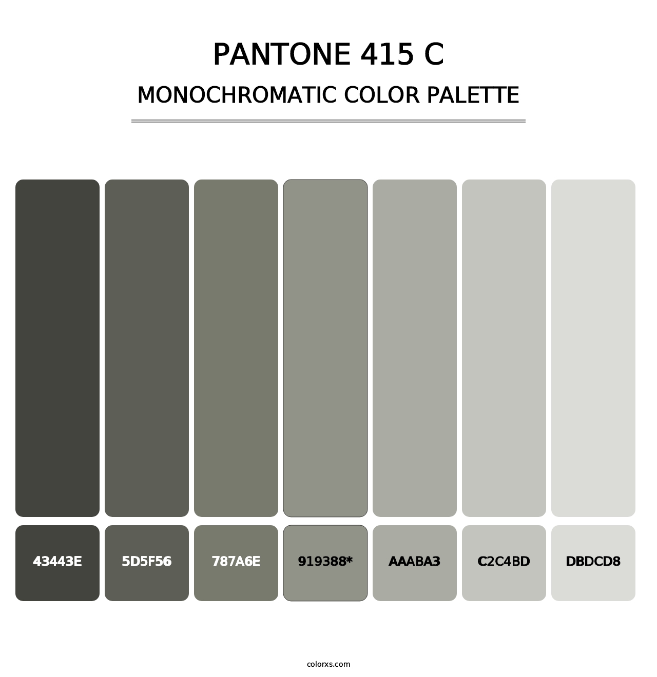 PANTONE 415 C - Monochromatic Color Palette