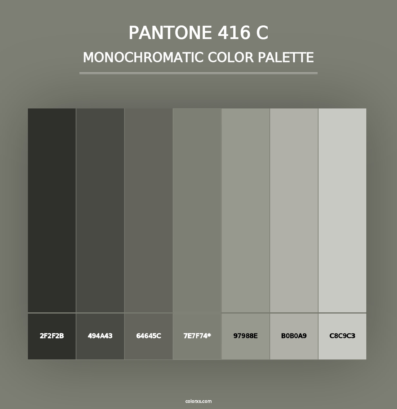 PANTONE 416 C - Monochromatic Color Palette