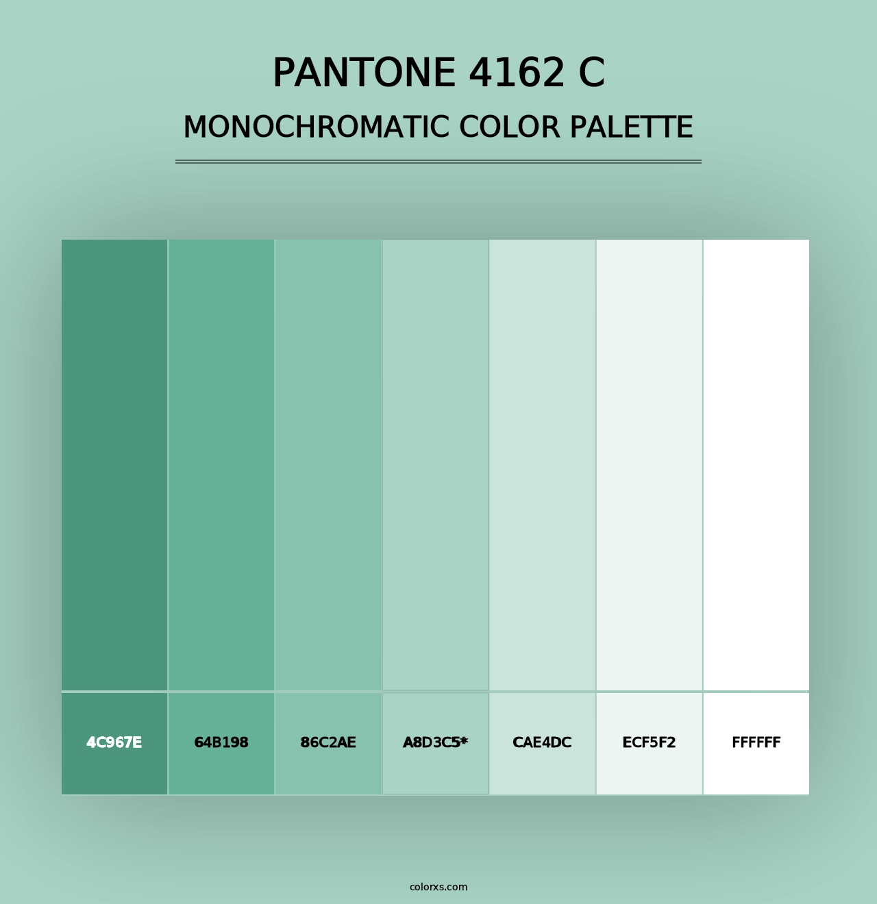 PANTONE 4162 C - Monochromatic Color Palette