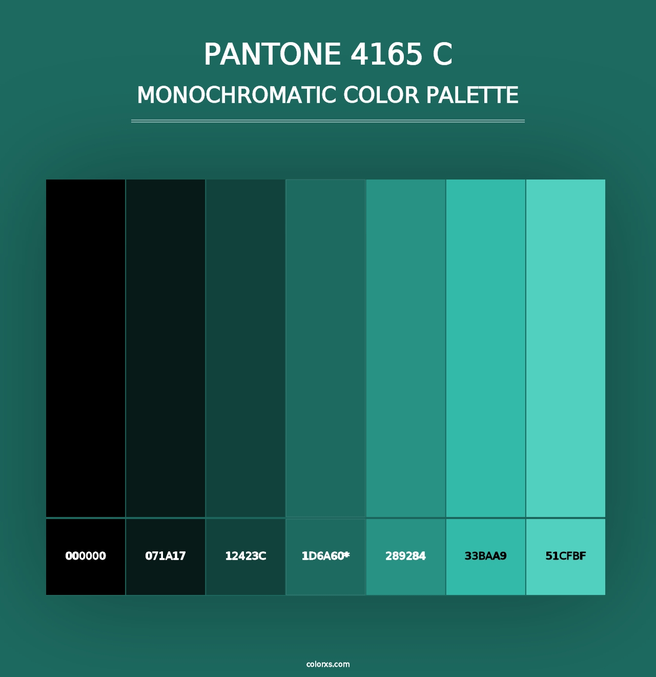 PANTONE 4165 C - Monochromatic Color Palette