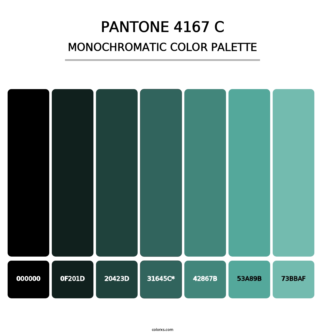 PANTONE 4167 C - Monochromatic Color Palette