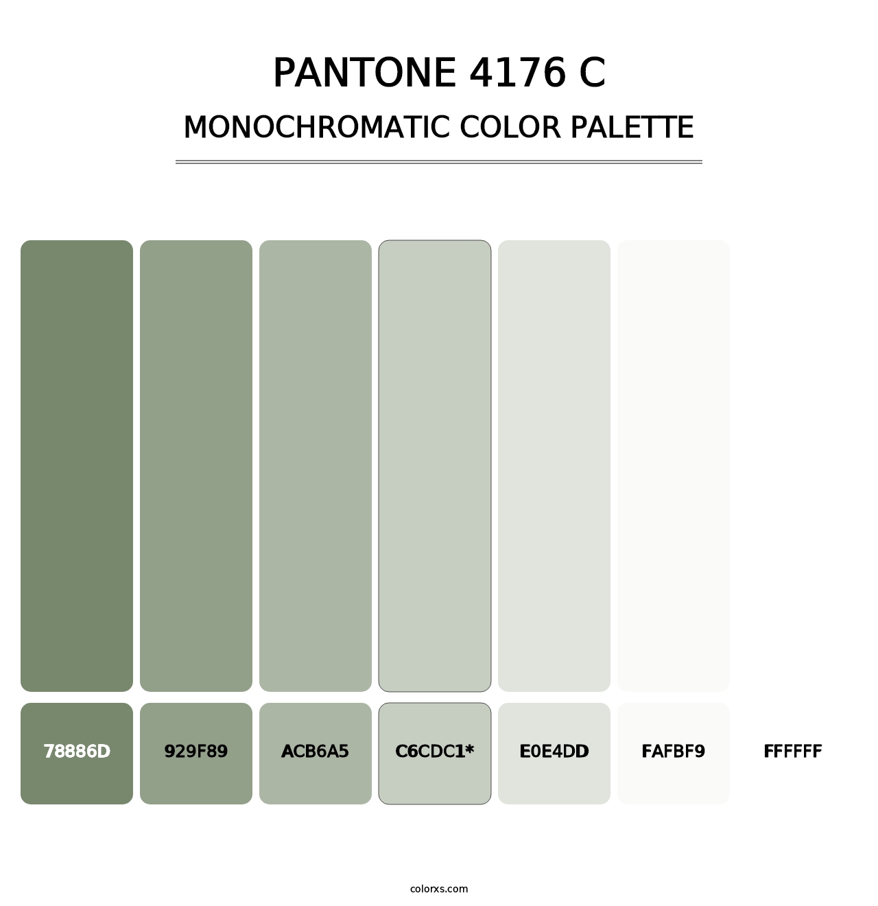 PANTONE 4176 C - Monochromatic Color Palette