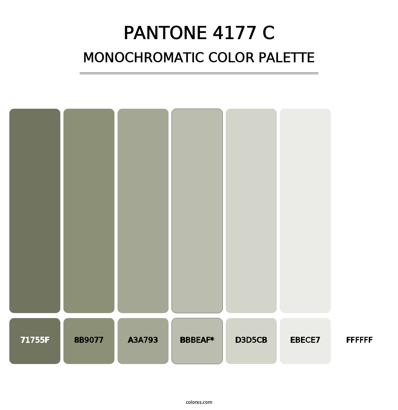 PANTONE 4177 C - Monochromatic Color Palette