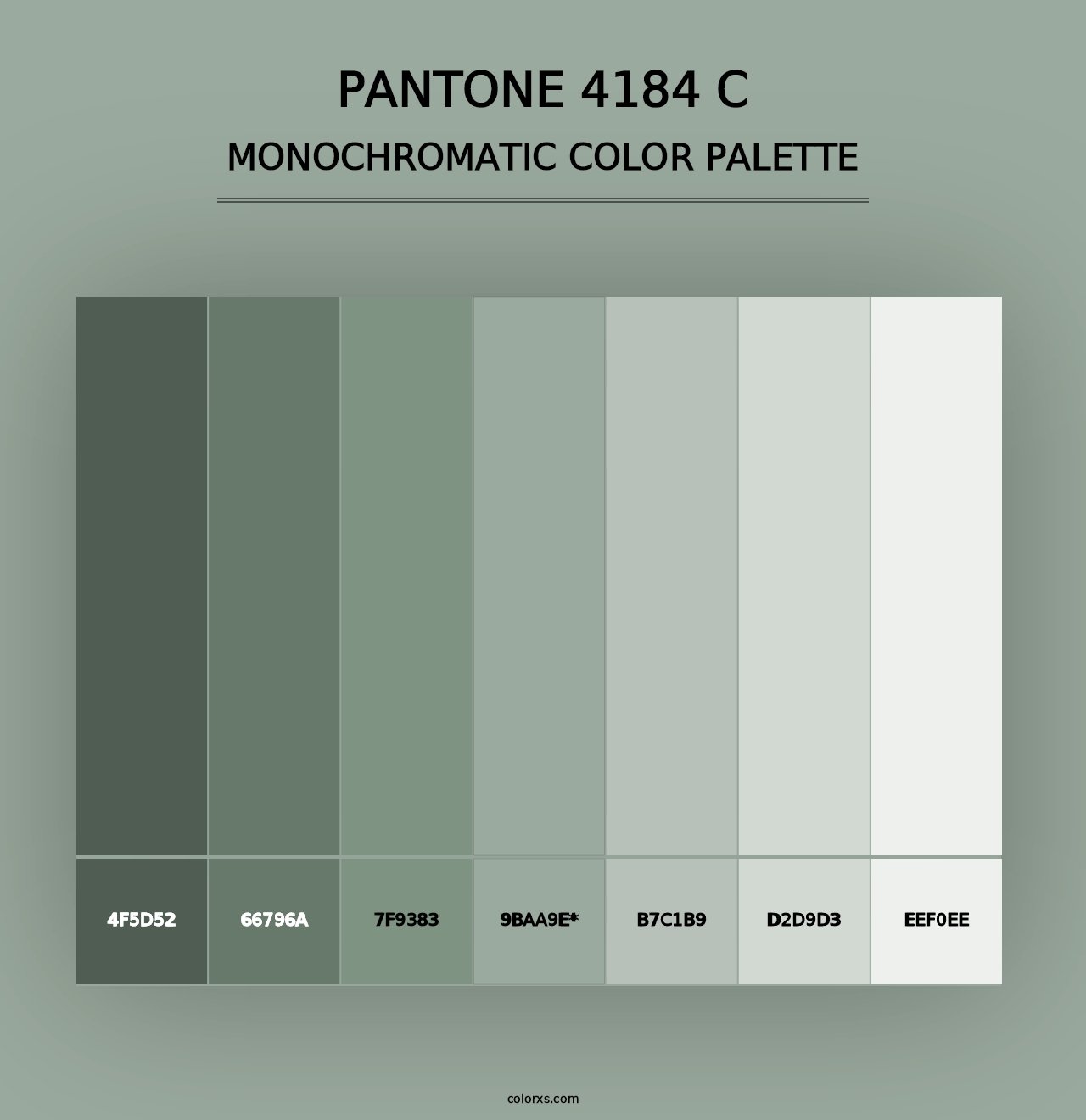 PANTONE 4184 C - Monochromatic Color Palette