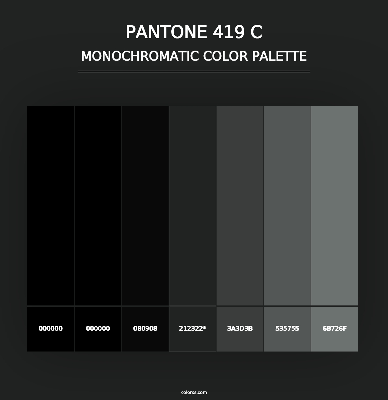 PANTONE 419 C - Monochromatic Color Palette