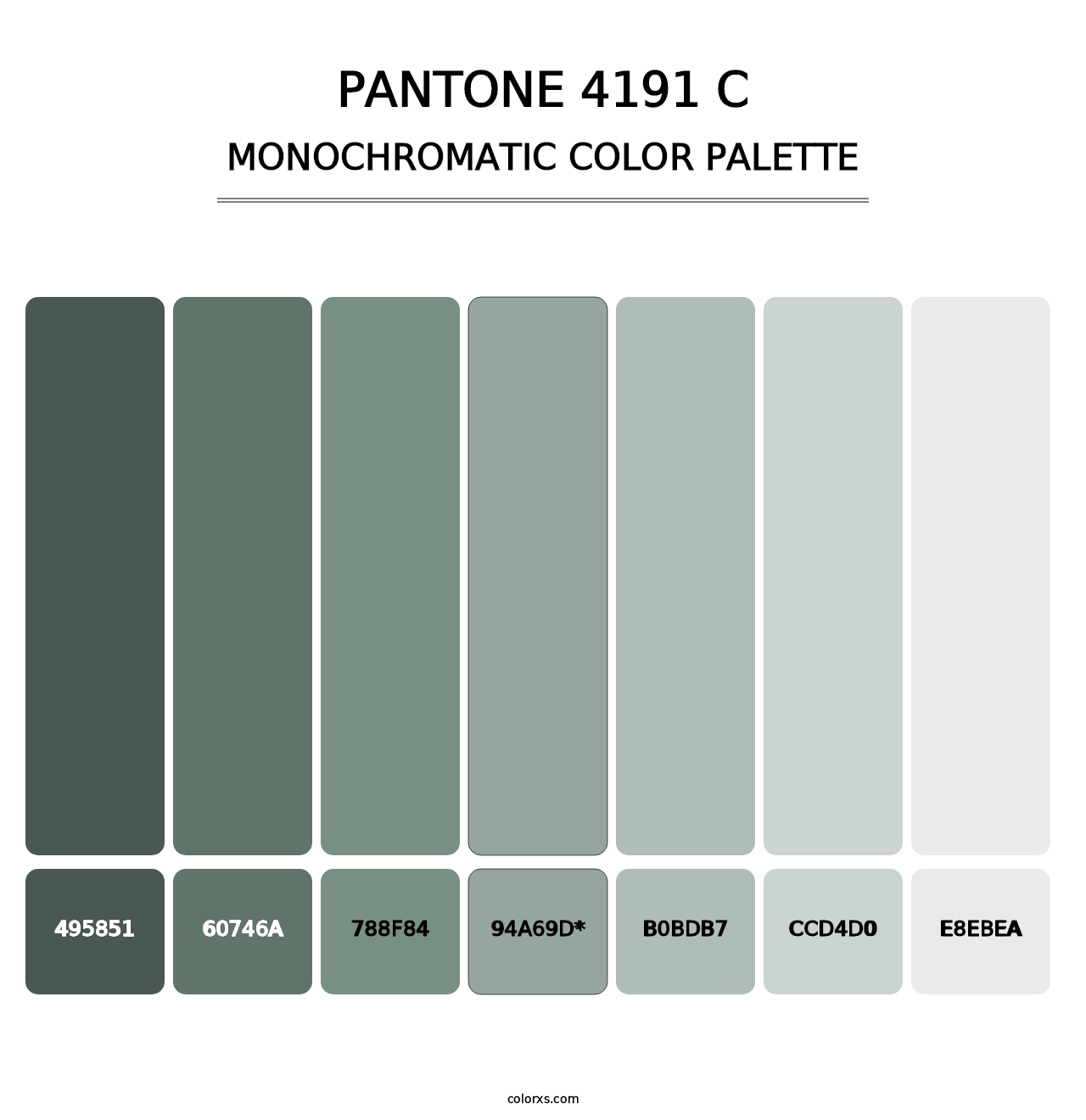 PANTONE 4191 C - Monochromatic Color Palette