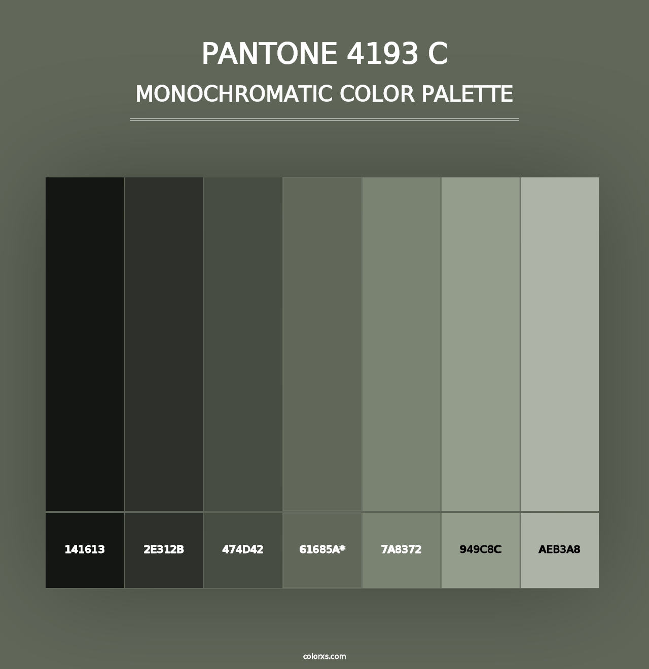 PANTONE 4193 C - Monochromatic Color Palette