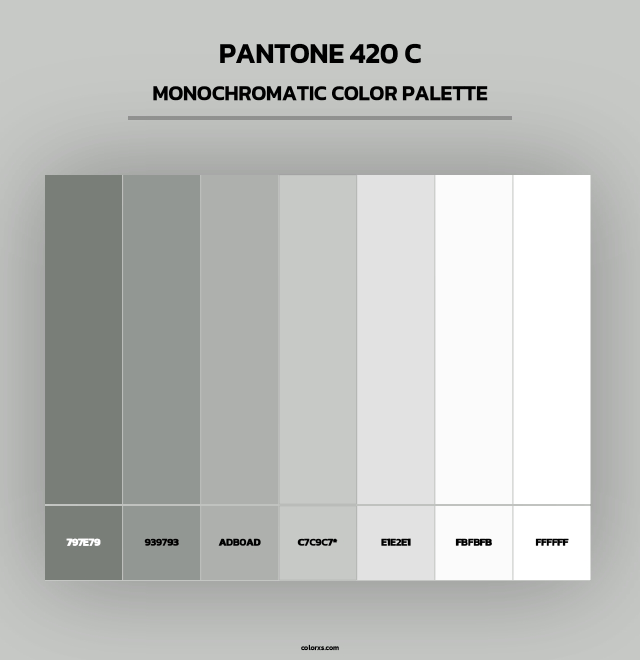 PANTONE 420 C - Monochromatic Color Palette