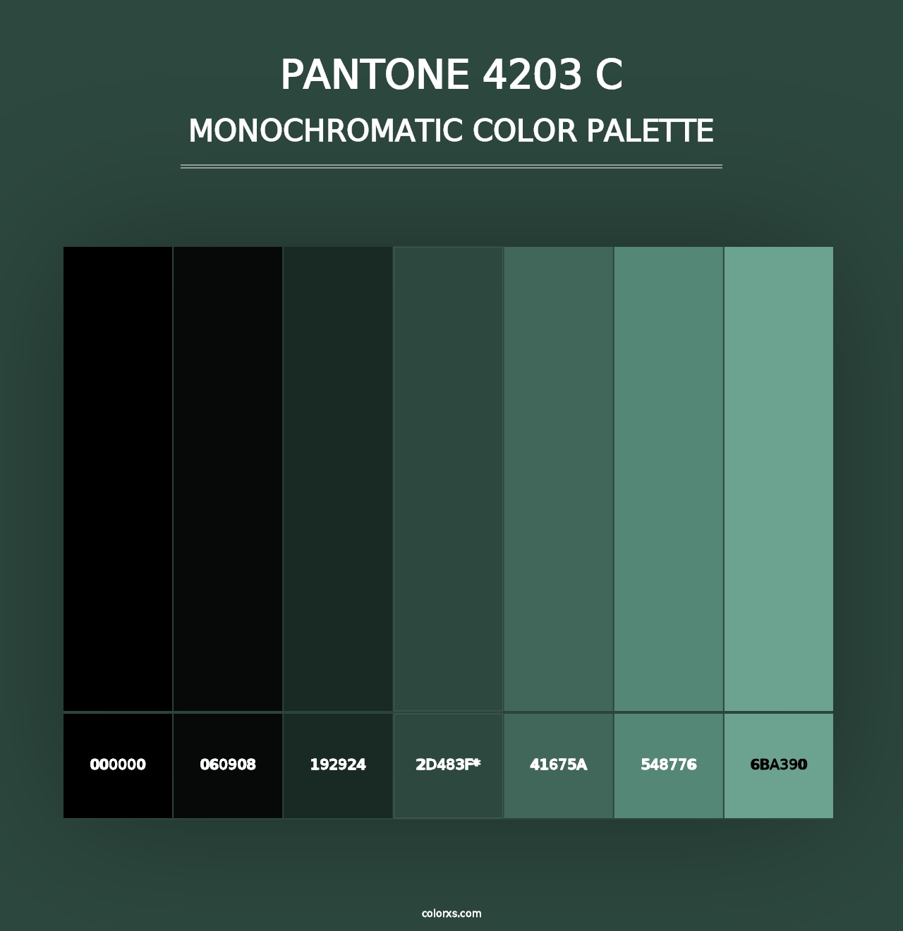 PANTONE 4203 C - Monochromatic Color Palette