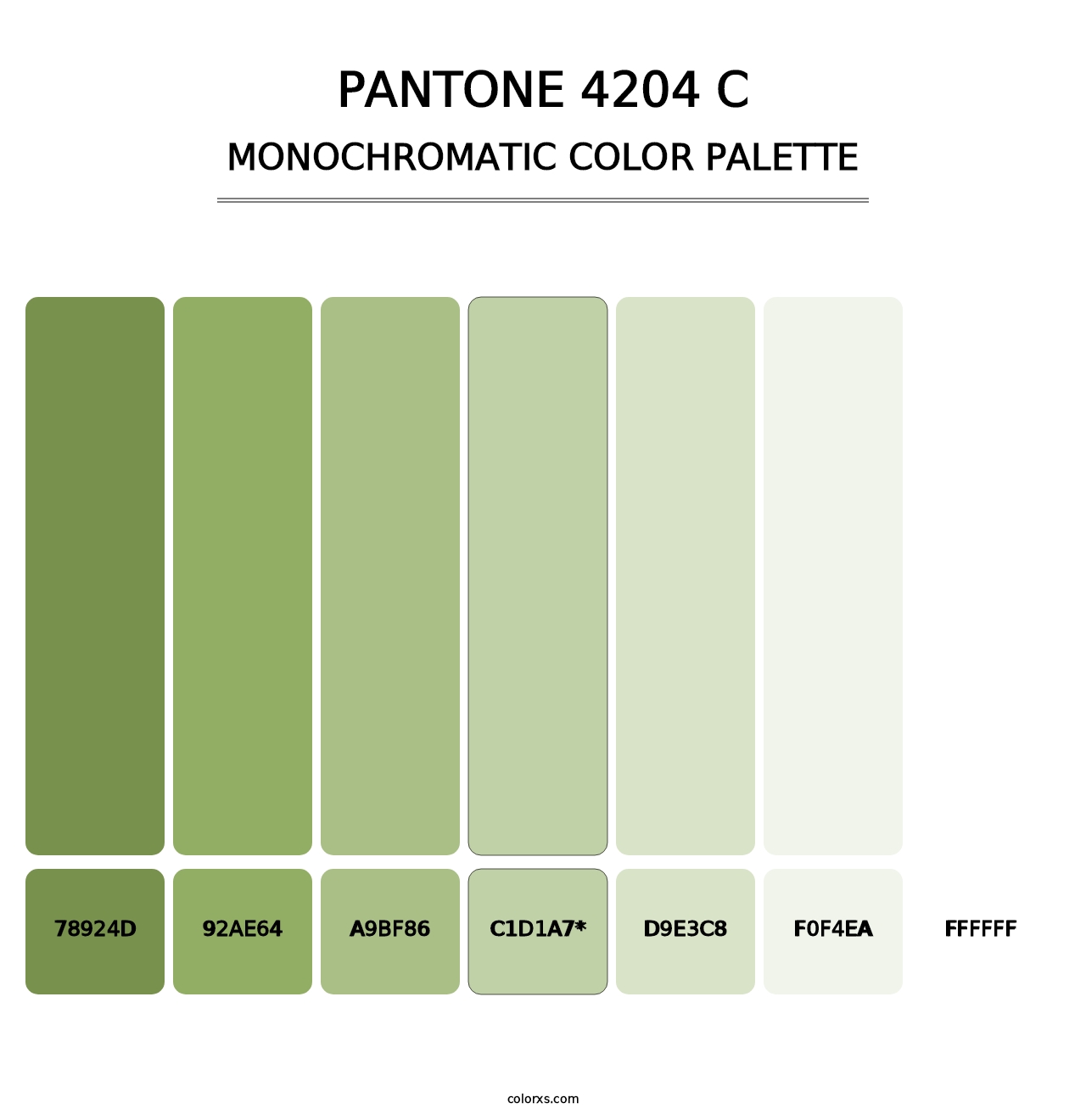 PANTONE 4204 C - Monochromatic Color Palette