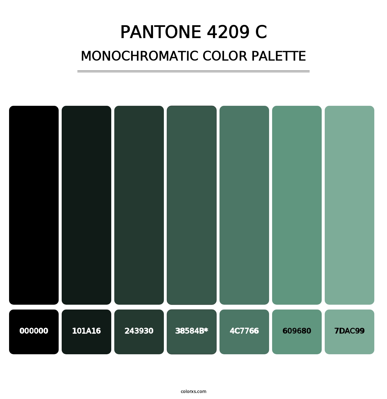 PANTONE 4209 C - Monochromatic Color Palette