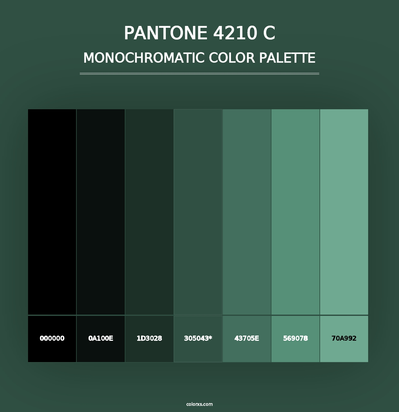 PANTONE 4210 C - Monochromatic Color Palette