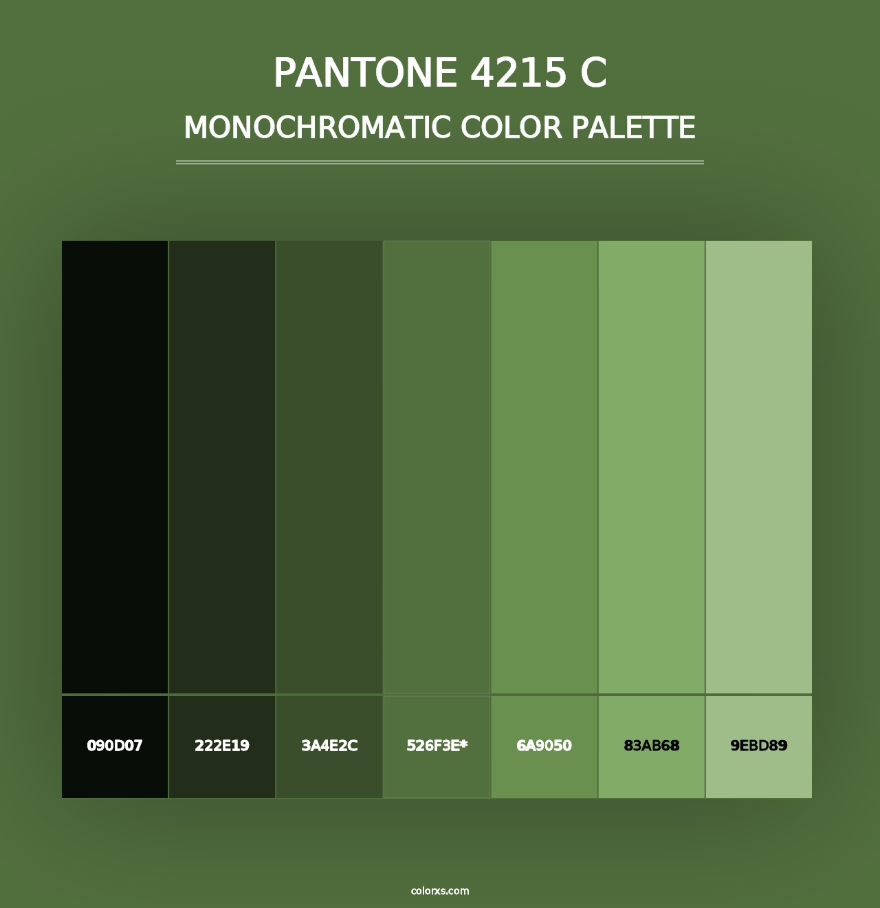 PANTONE 4215 C - Monochromatic Color Palette