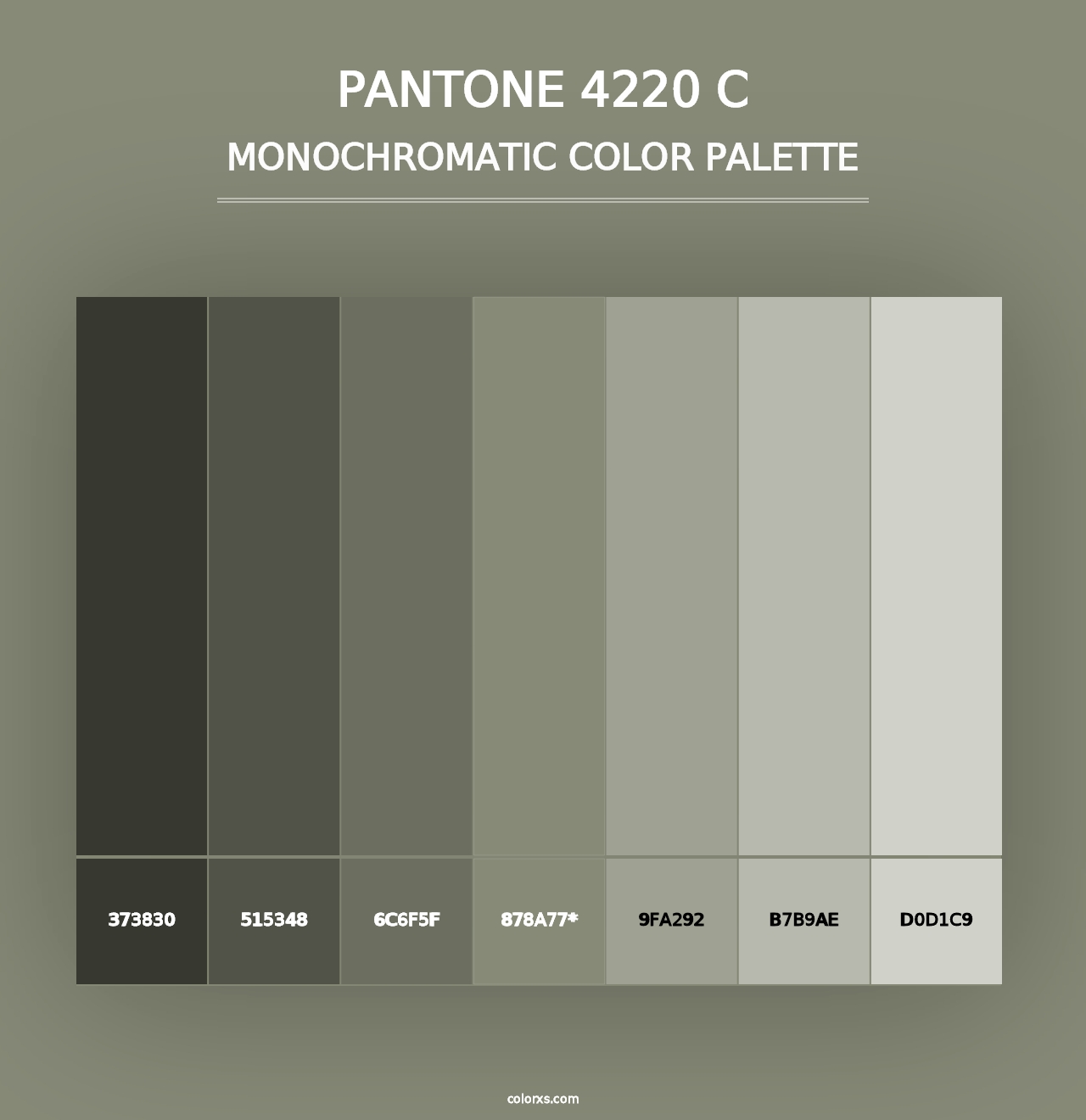 PANTONE 4220 C - Monochromatic Color Palette