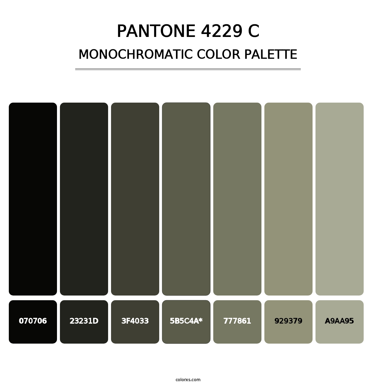 PANTONE 4229 C - Monochromatic Color Palette