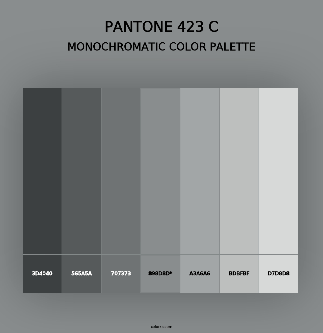 PANTONE 423 C - Monochromatic Color Palette