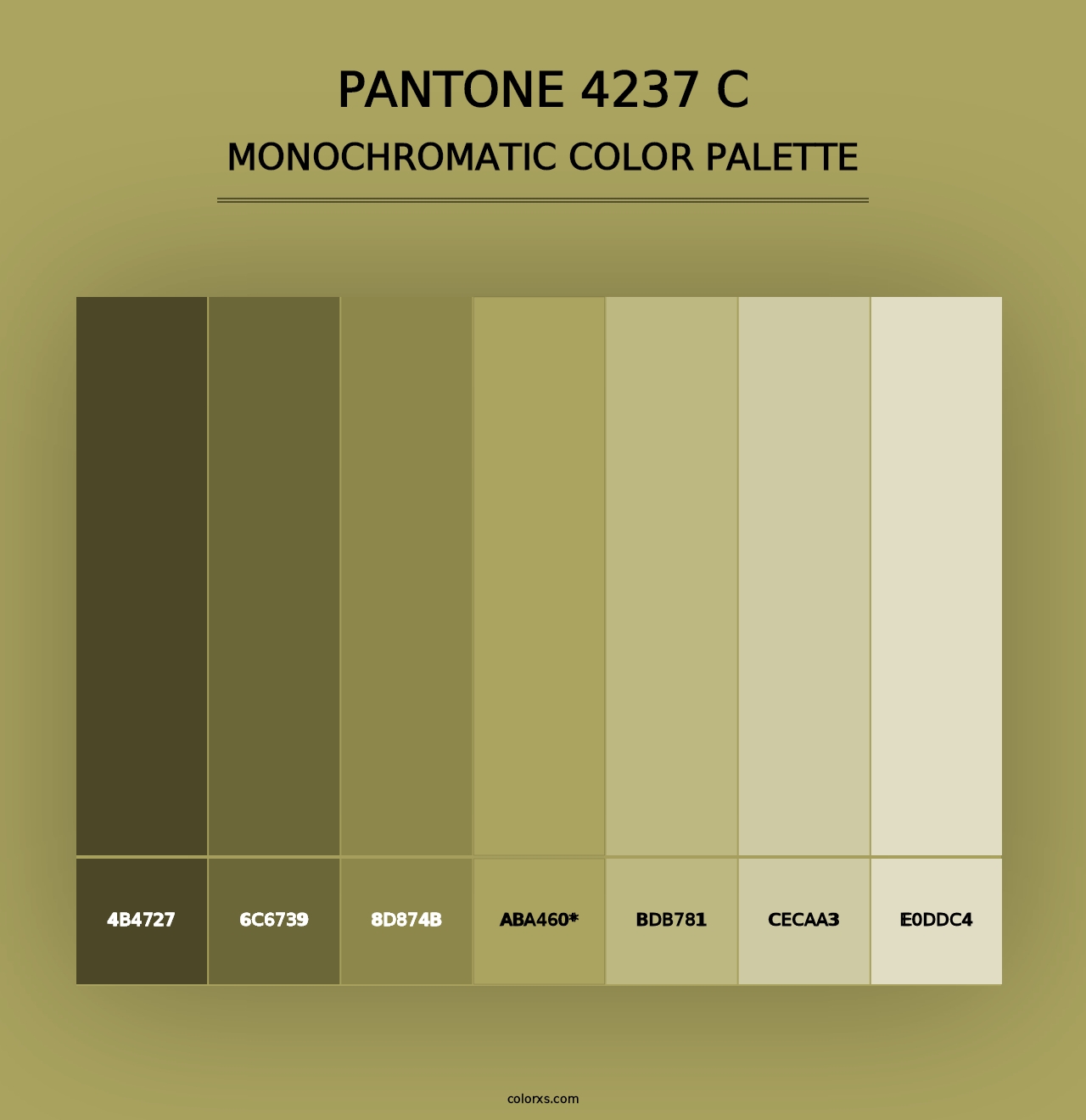 PANTONE 4237 C - Monochromatic Color Palette