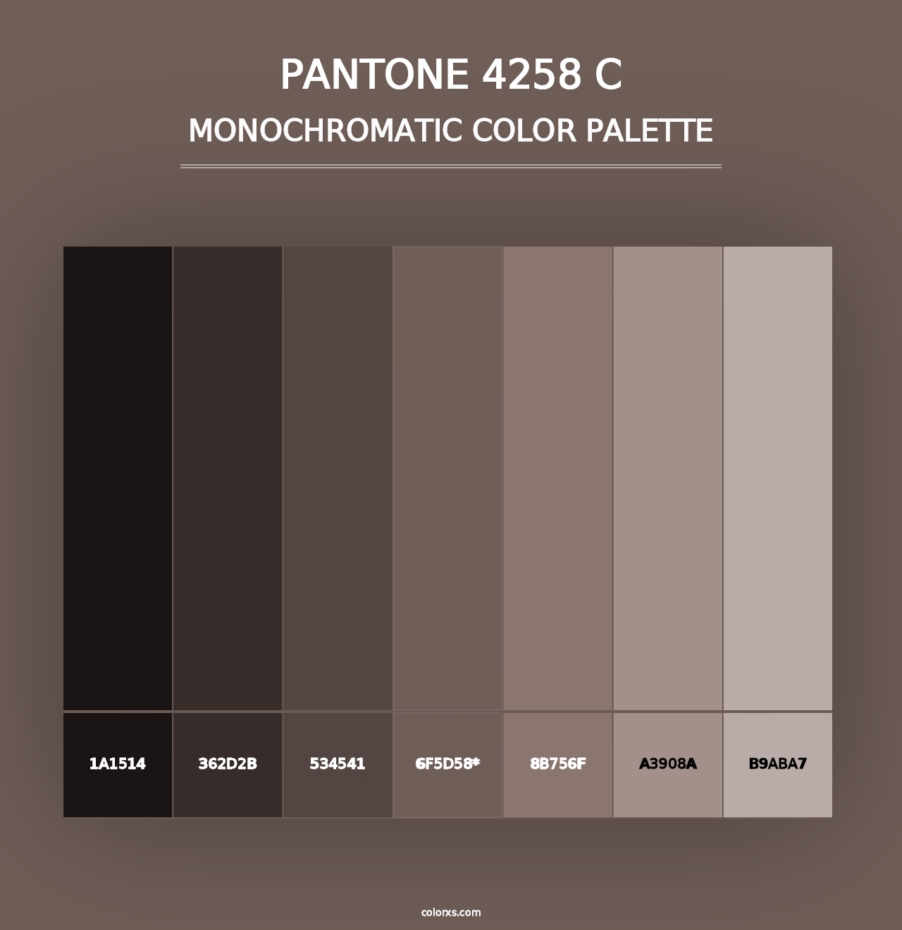 PANTONE 4258 C - Monochromatic Color Palette