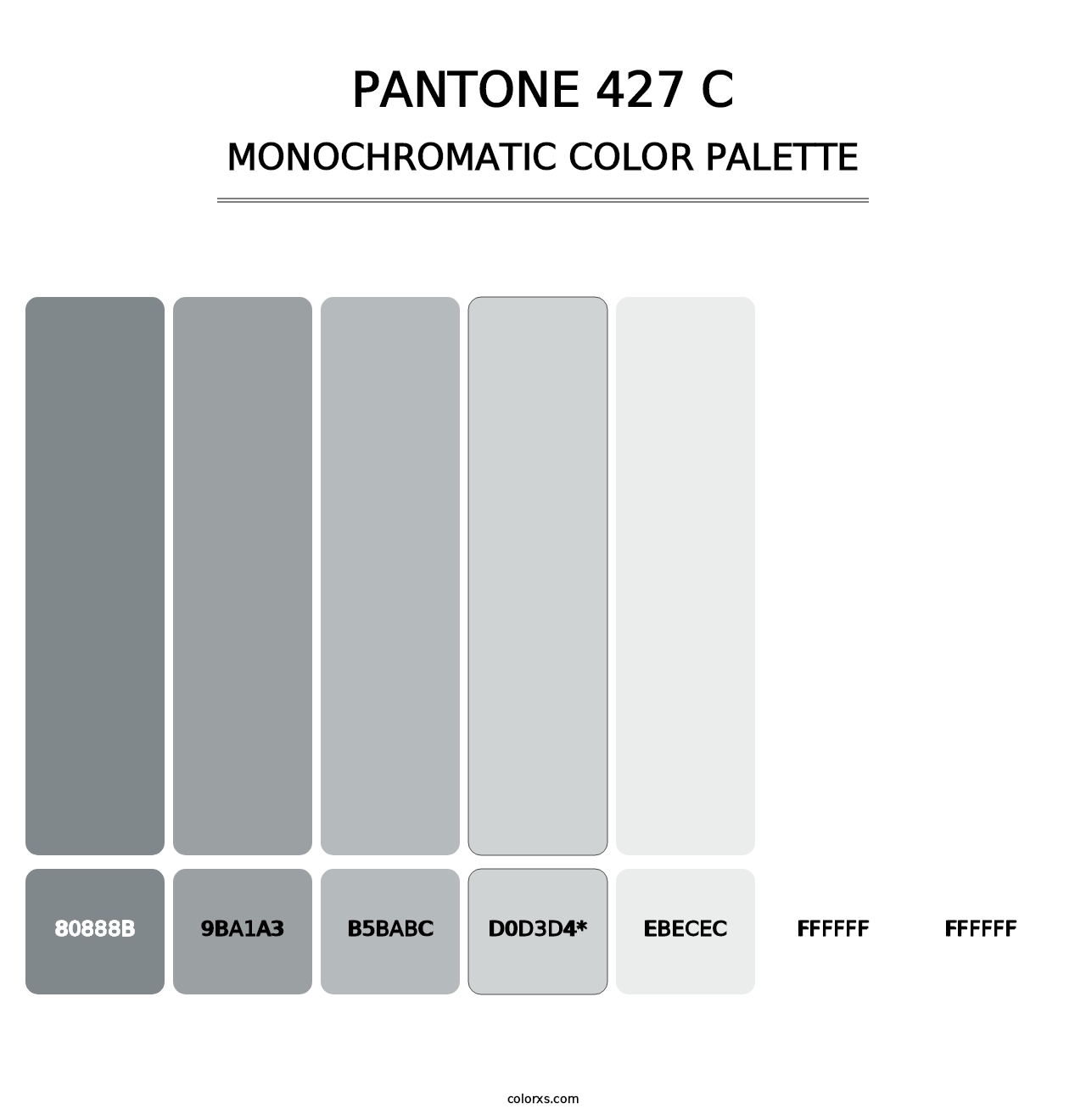 PANTONE 427 C - Monochromatic Color Palette