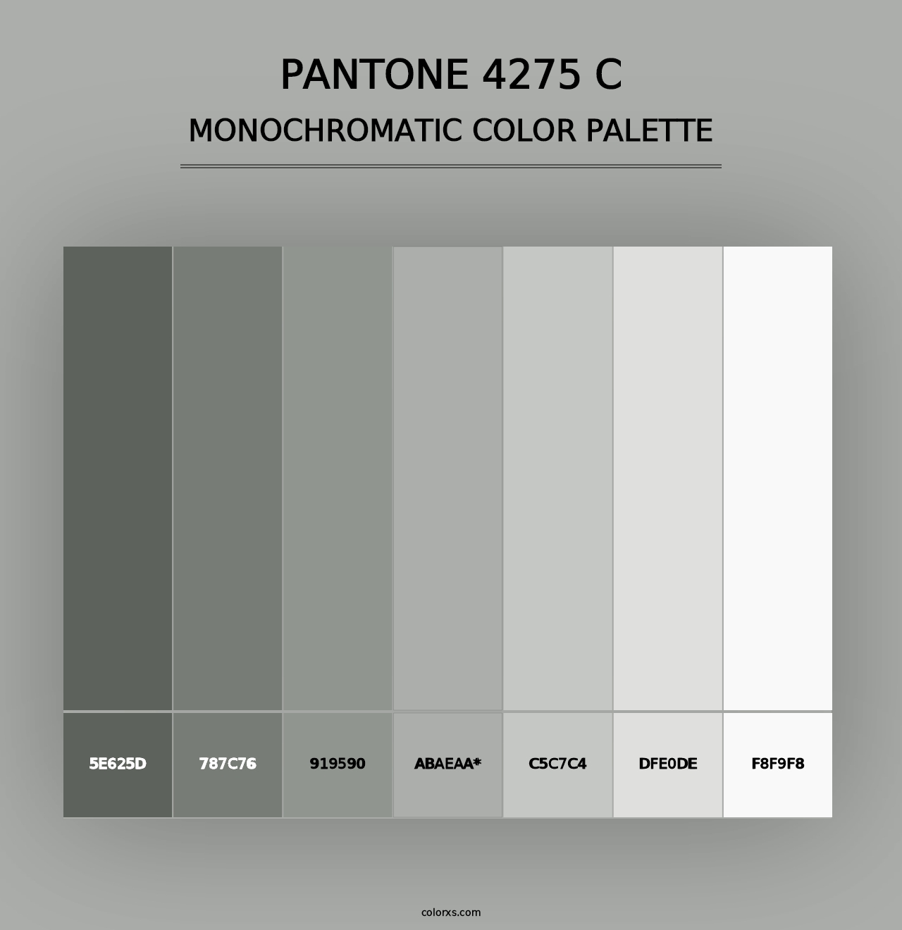 PANTONE 4275 C - Monochromatic Color Palette