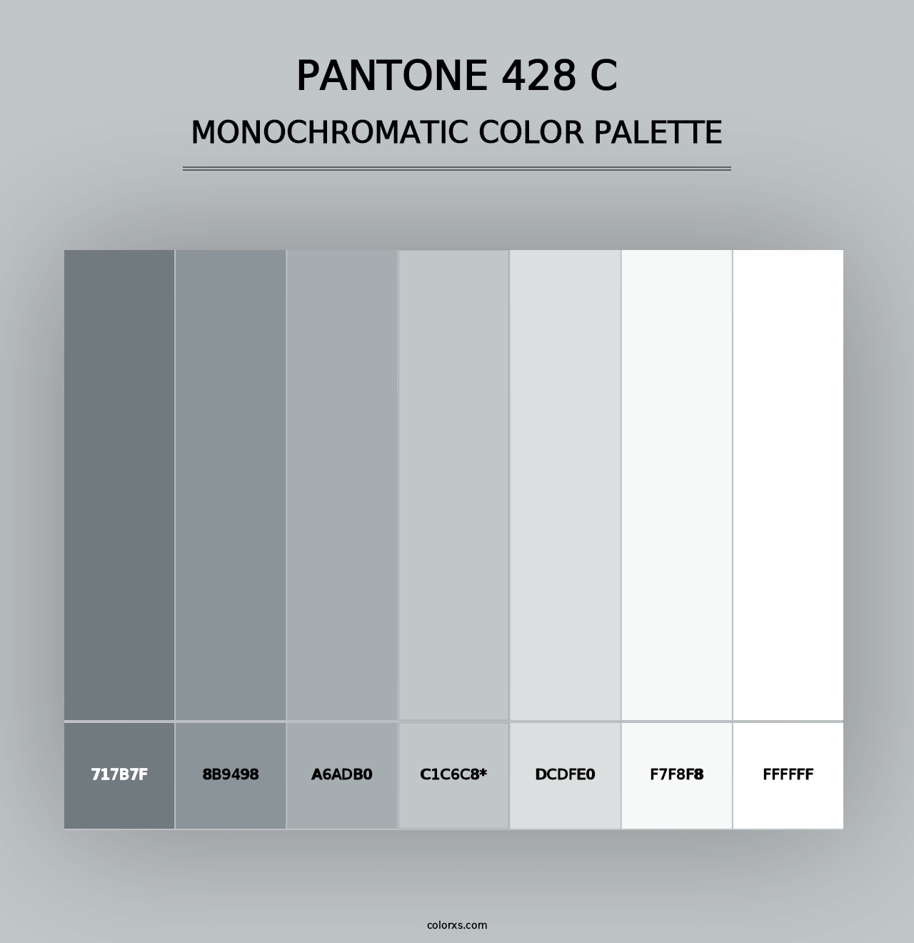 PANTONE 428 C - Monochromatic Color Palette