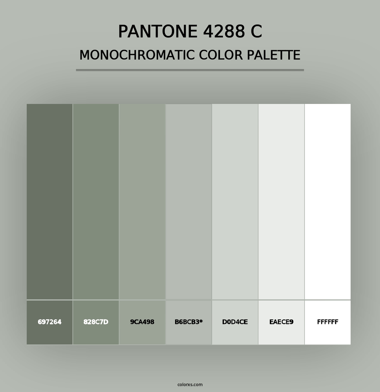 PANTONE 4288 C - Monochromatic Color Palette