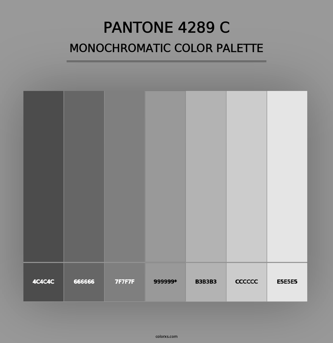 PANTONE 4289 C - Monochromatic Color Palette