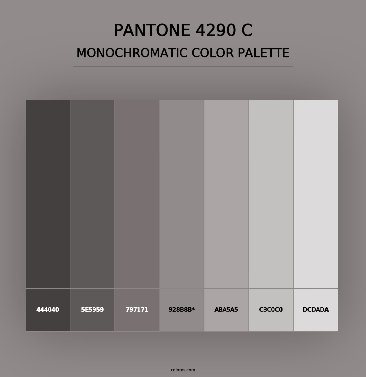 PANTONE 4290 C - Monochromatic Color Palette