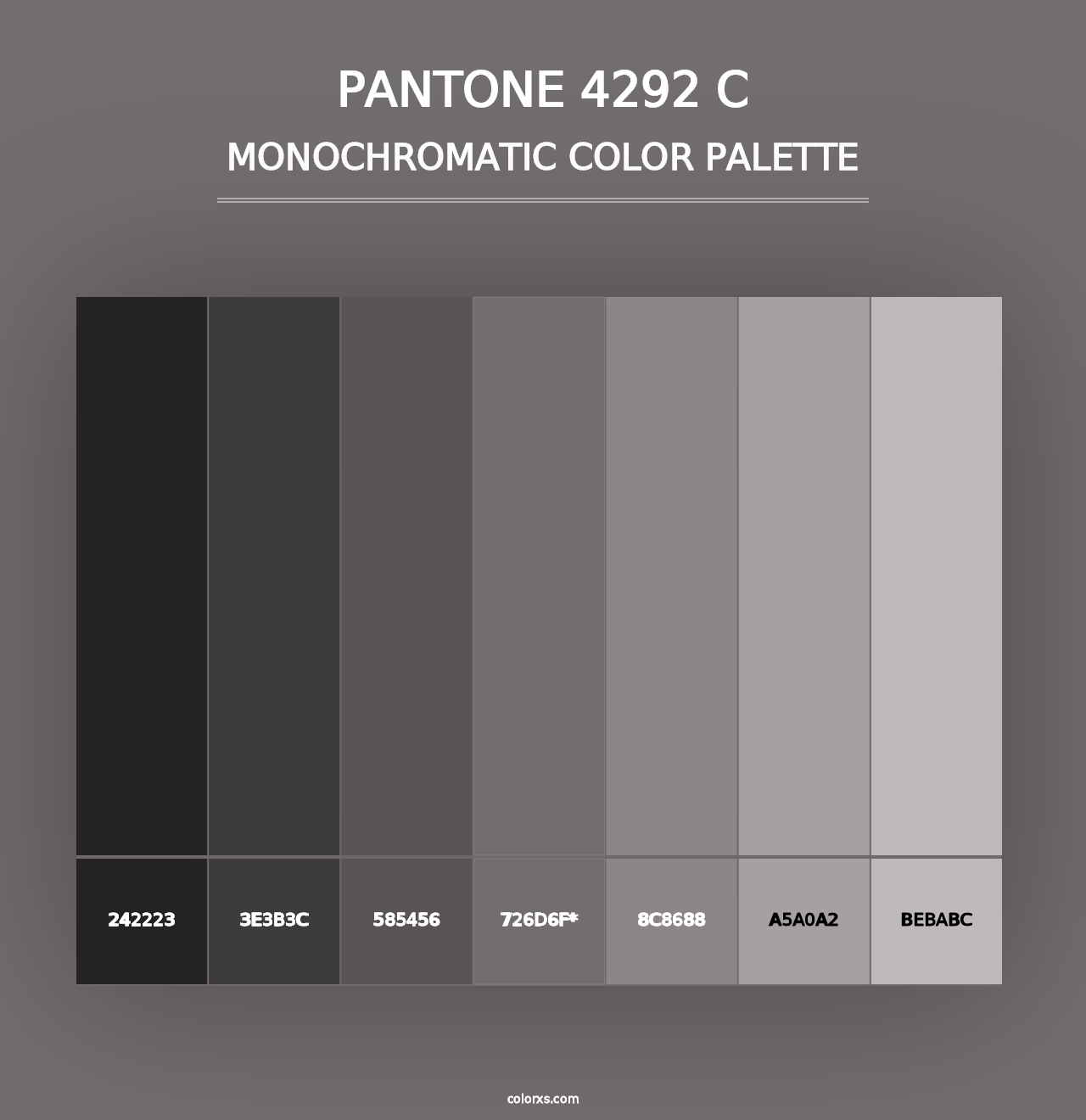 PANTONE 4292 C - Monochromatic Color Palette