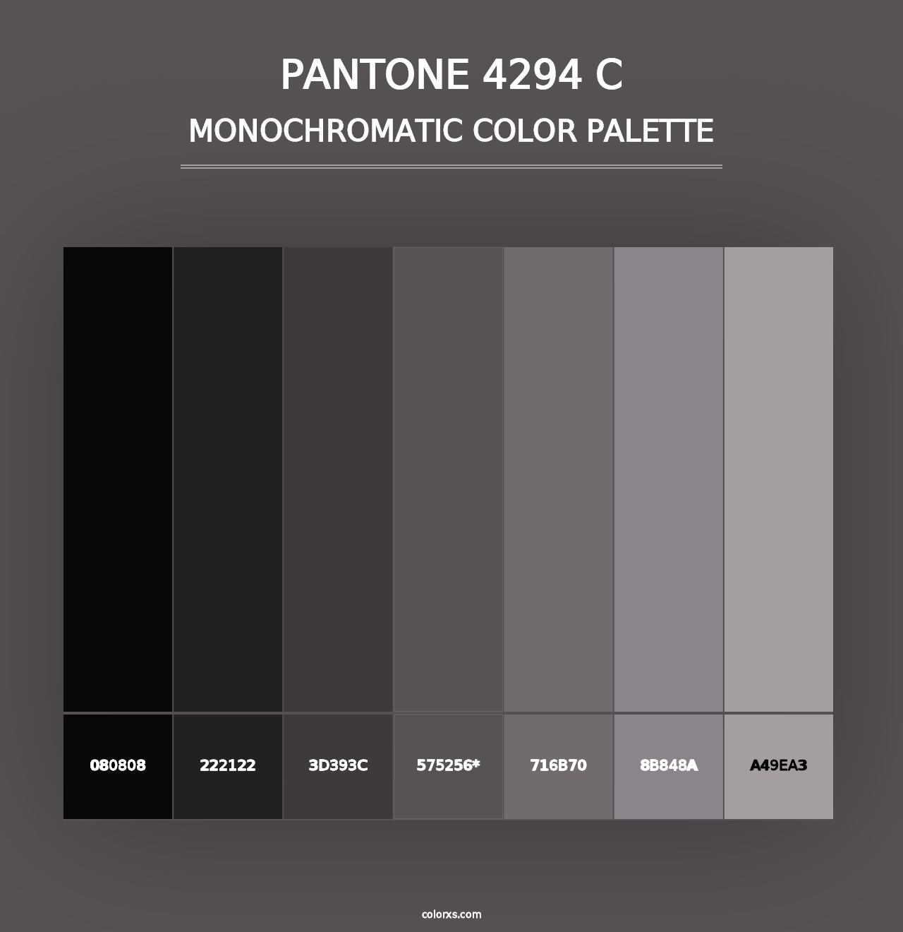 PANTONE 4294 C - Monochromatic Color Palette