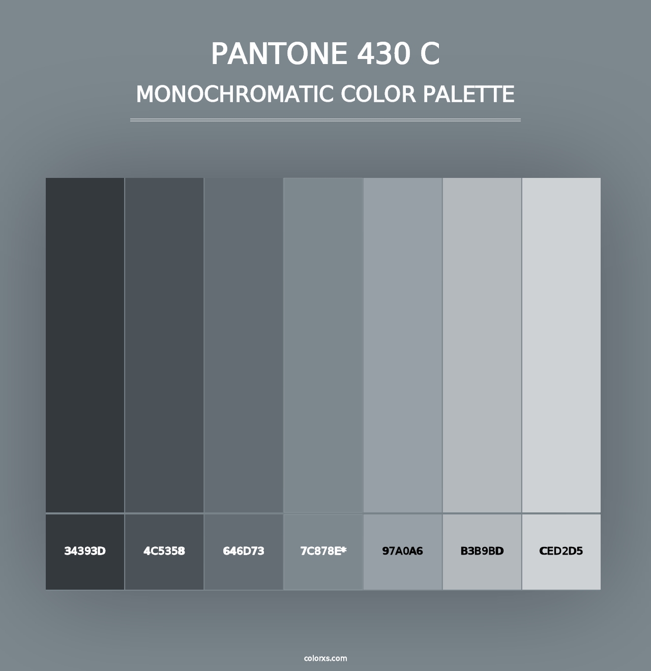 PANTONE 430 C - Monochromatic Color Palette